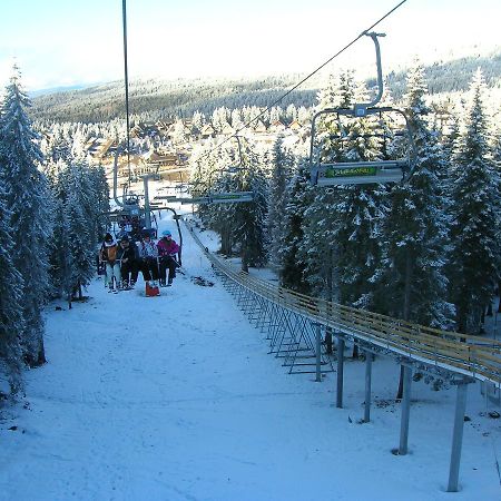 Apartment Sofi Yeti Копаоник Екстериор снимка