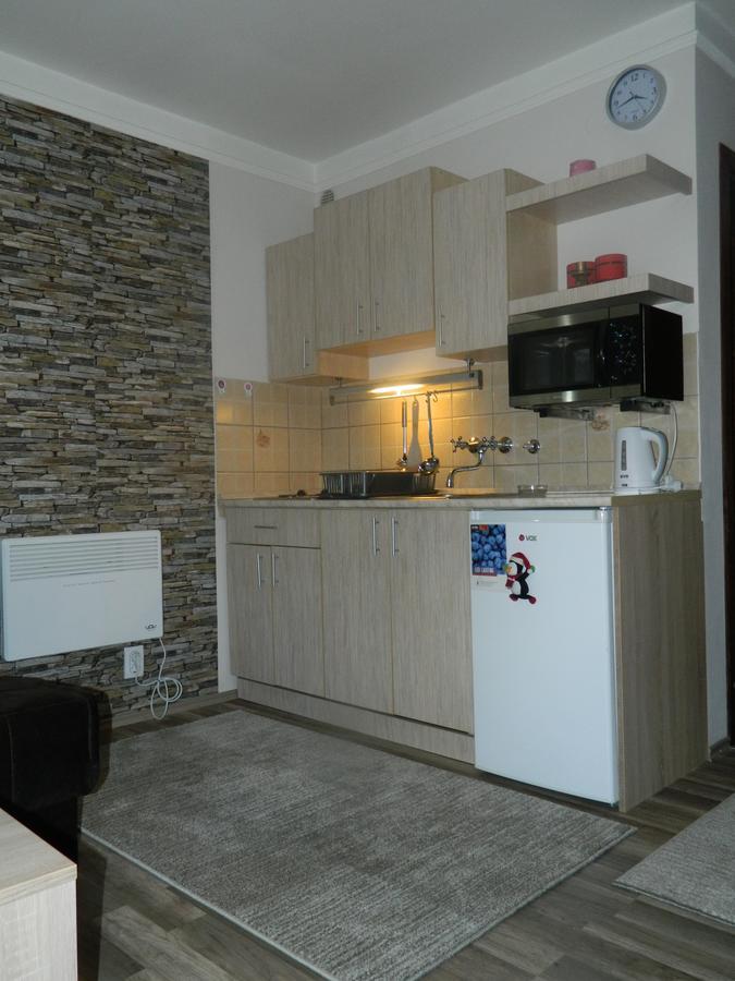 Apartment Sofi Yeti Копаоник Екстериор снимка